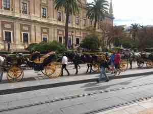 Image of horse-drawn carriages parked on the street in Sevilla Spain. | The-Military-Guide.com